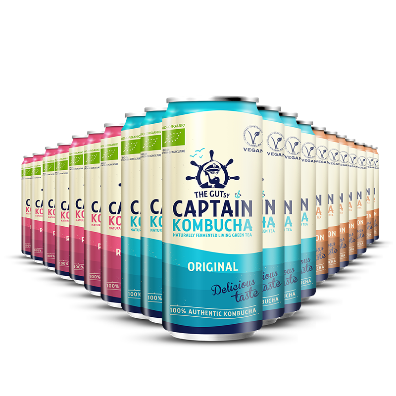 GUTsy Captain Kombucha - Multi-Geschmackspackung 12 x 400ml 